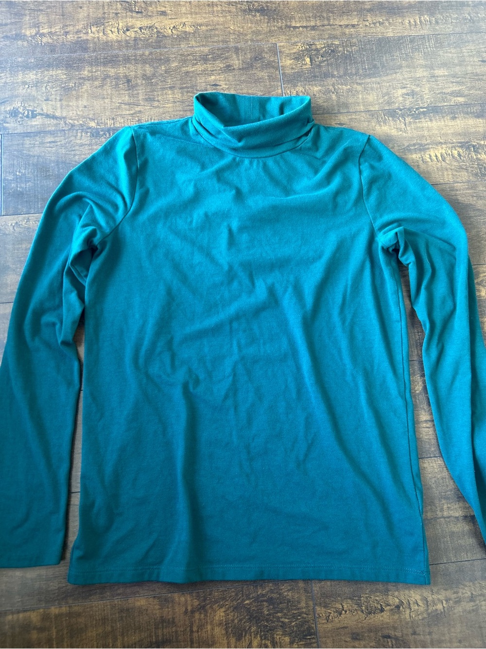 GAP Teal Turtleneck Long-Sleeve Top